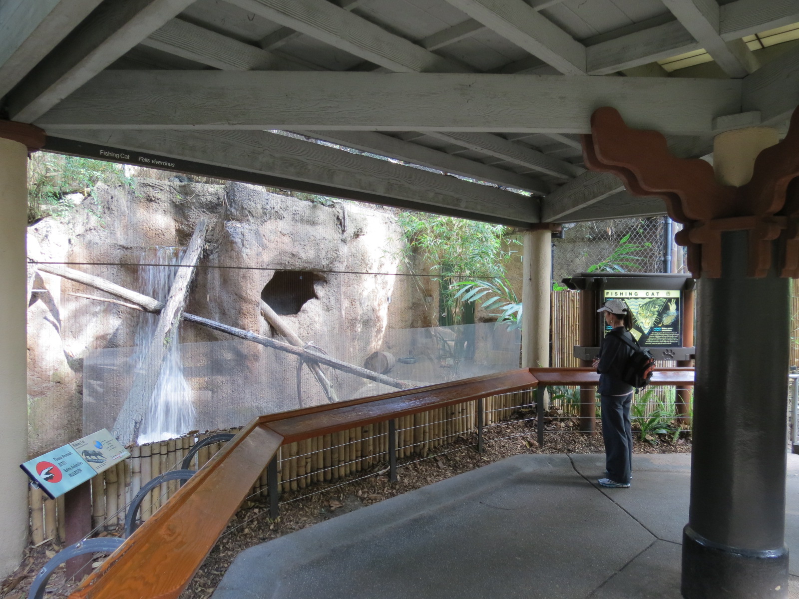 Lost Forest - Tiger River - Fishing Cat Exhibit
