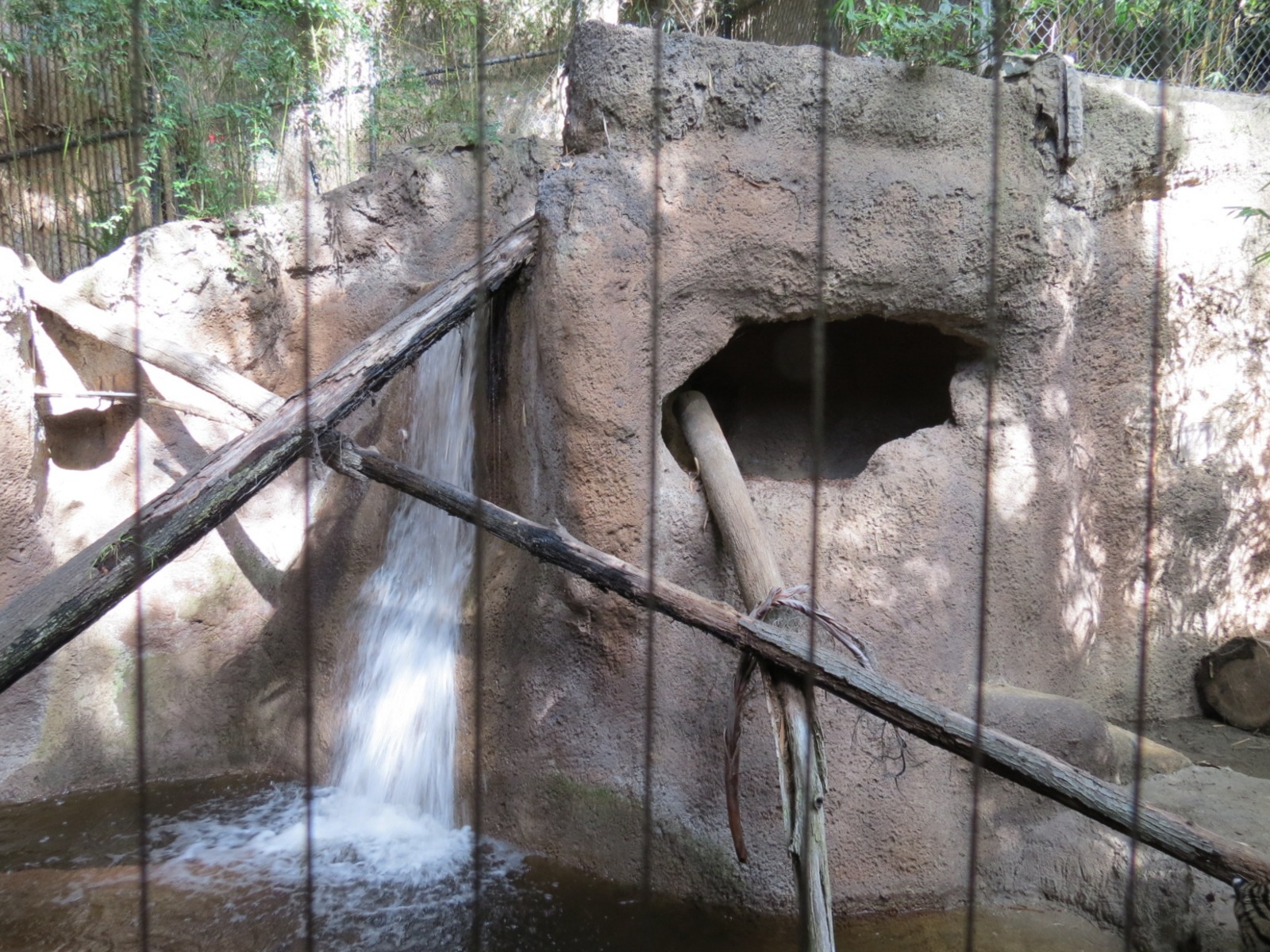 Lost Forest - Tiger River - Fishing Cat Exhibit