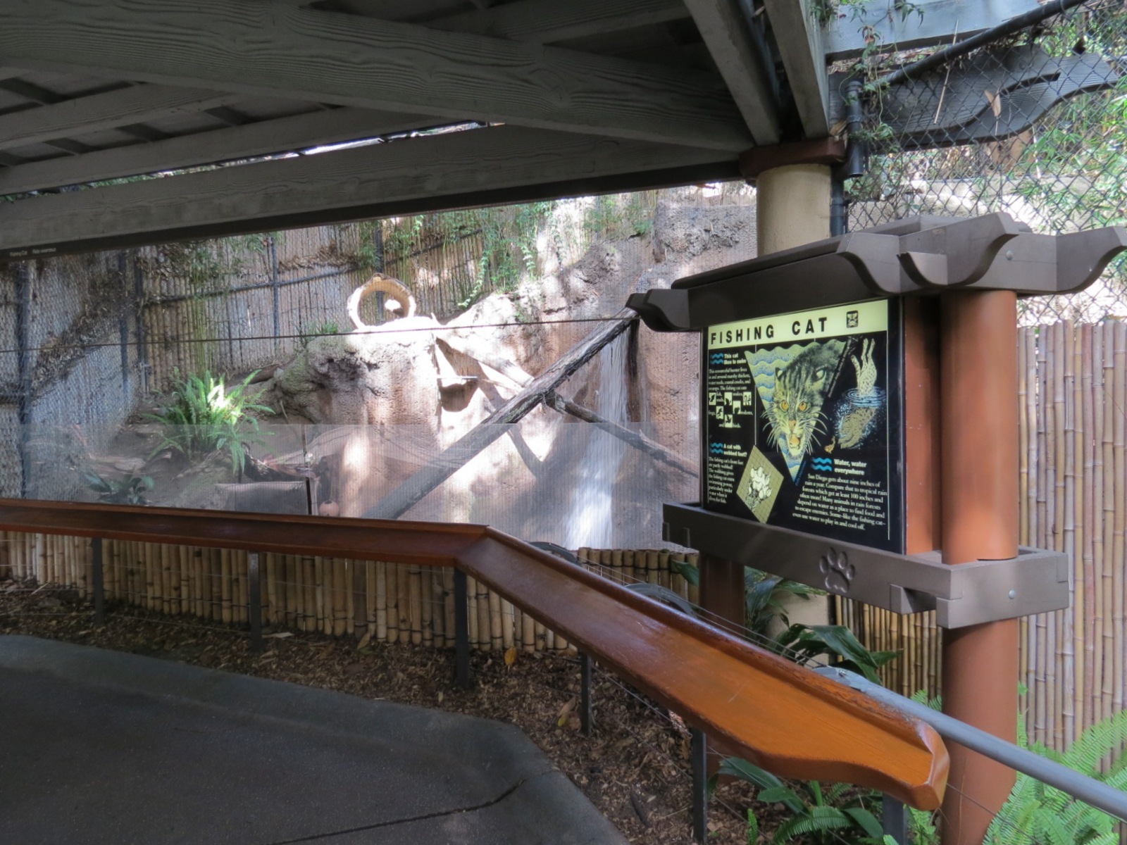 Lost Forest - Tiger River - Fishing Cat Exhibit