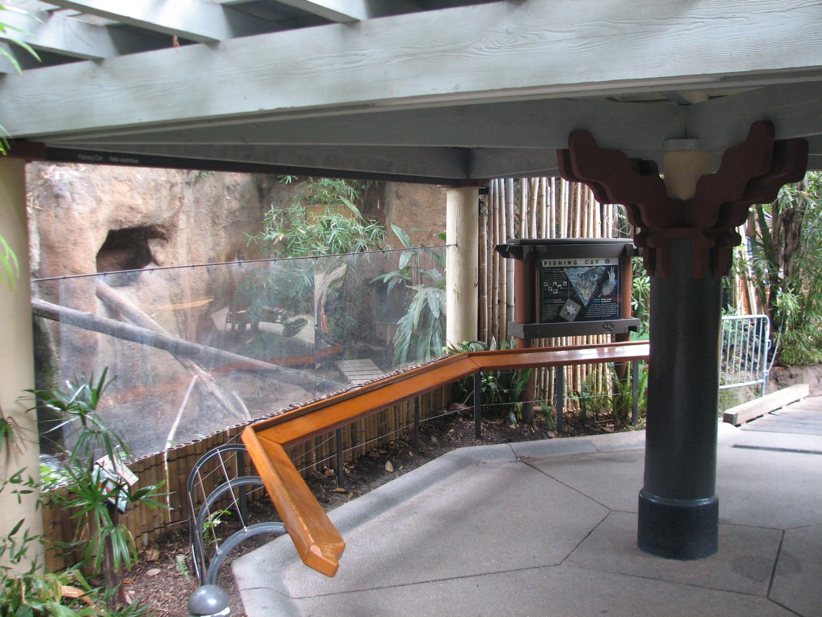 Lost Forest - Tiger River - Fishing Cat Exhibit