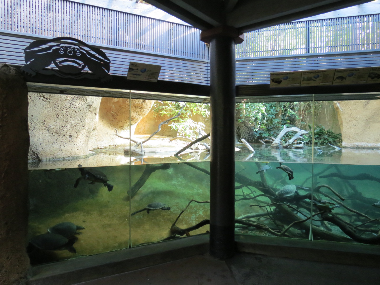 Lost Forest - Tiger River - Gharial and Turtles Exhibit