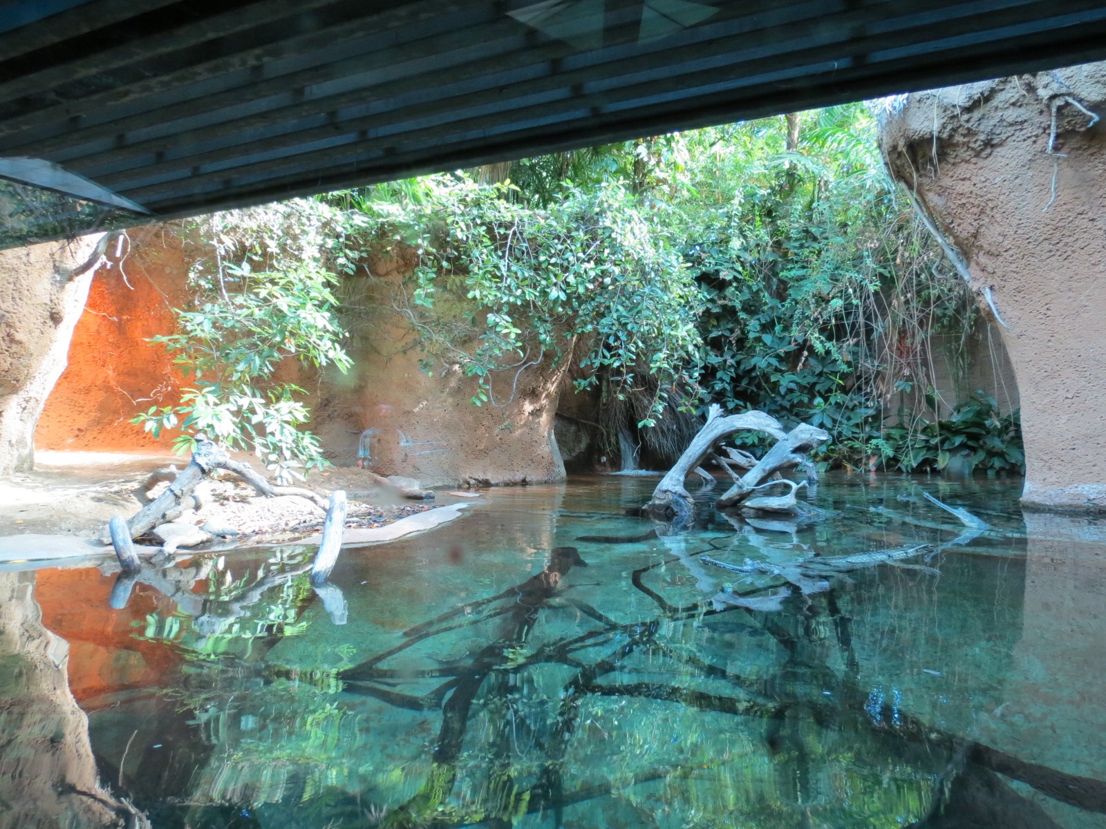 Lost Forest - Tiger River - Gharial and Turtles Exhibit