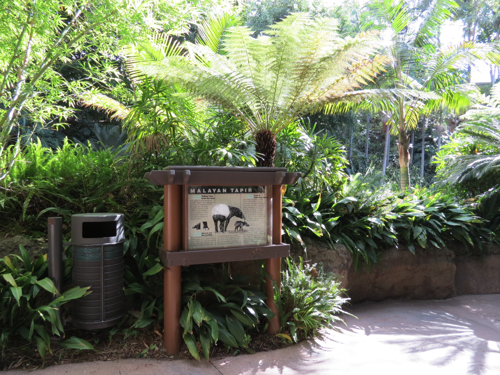 Lost Forest - Tiger River - Malayan Tapir Exhibit