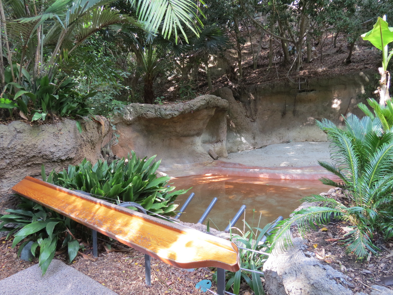 Lost Forest - Tiger River - Malayan Tapir Exhibit