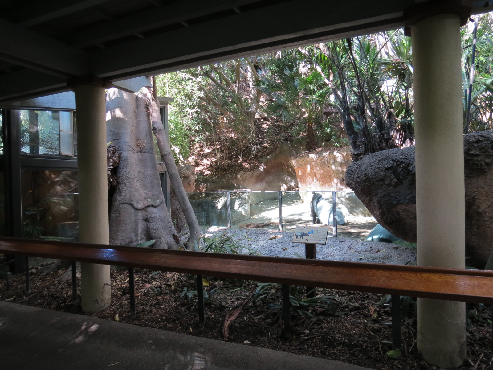 Lost Forest - Tiger River - Malayan Tapir Exhibit