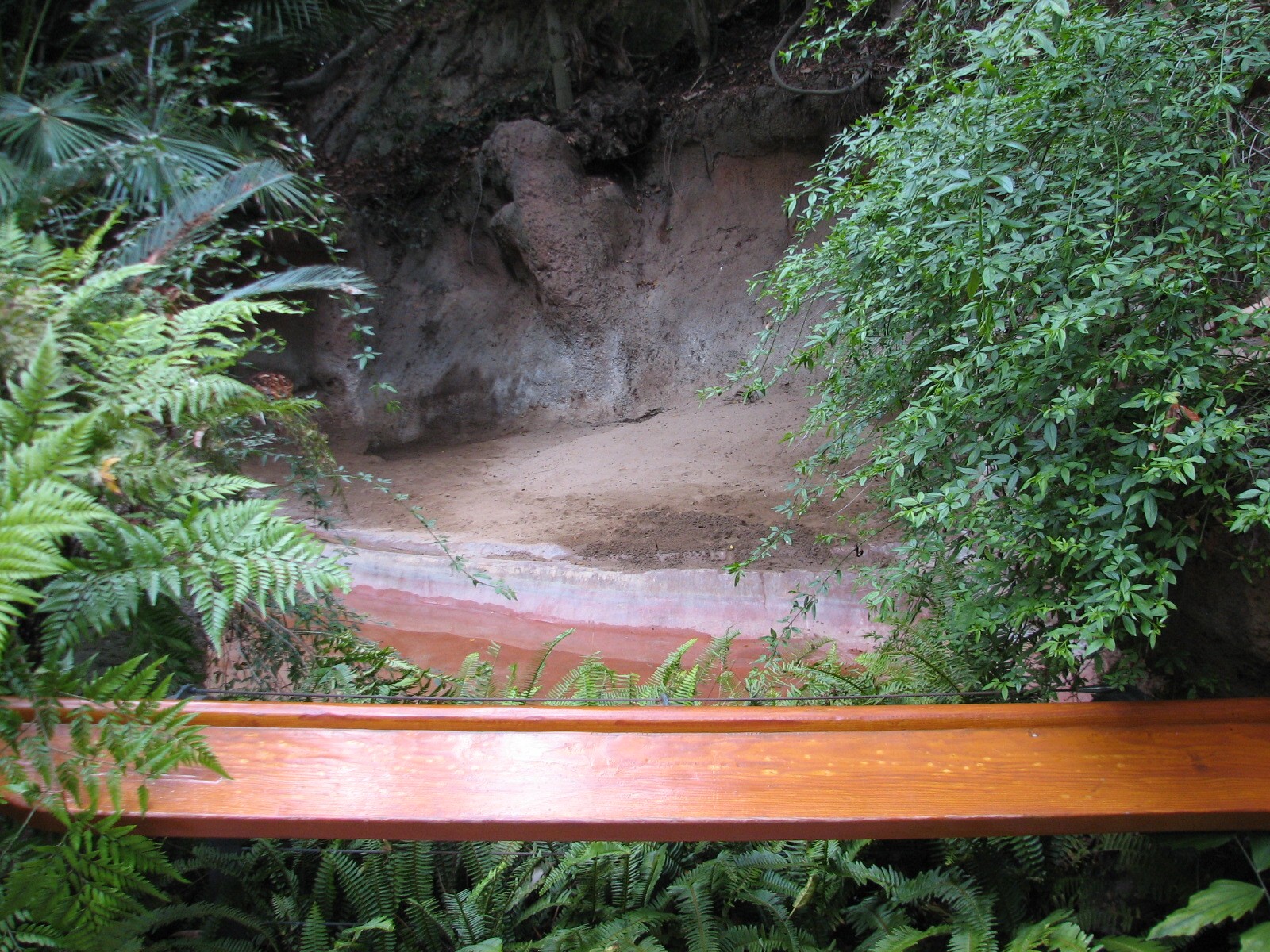 Lost Forest - Tiger River - Malayan Tapir Exhibit