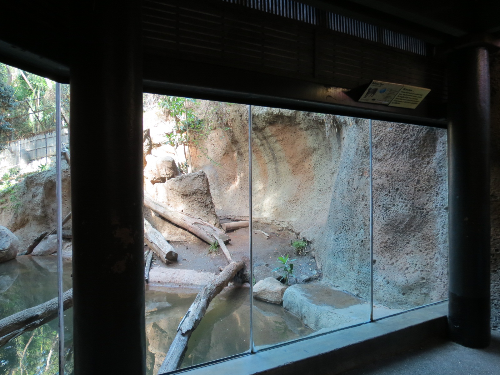 Lost Forest - Tiger River - Malayan Tiger Exhibit