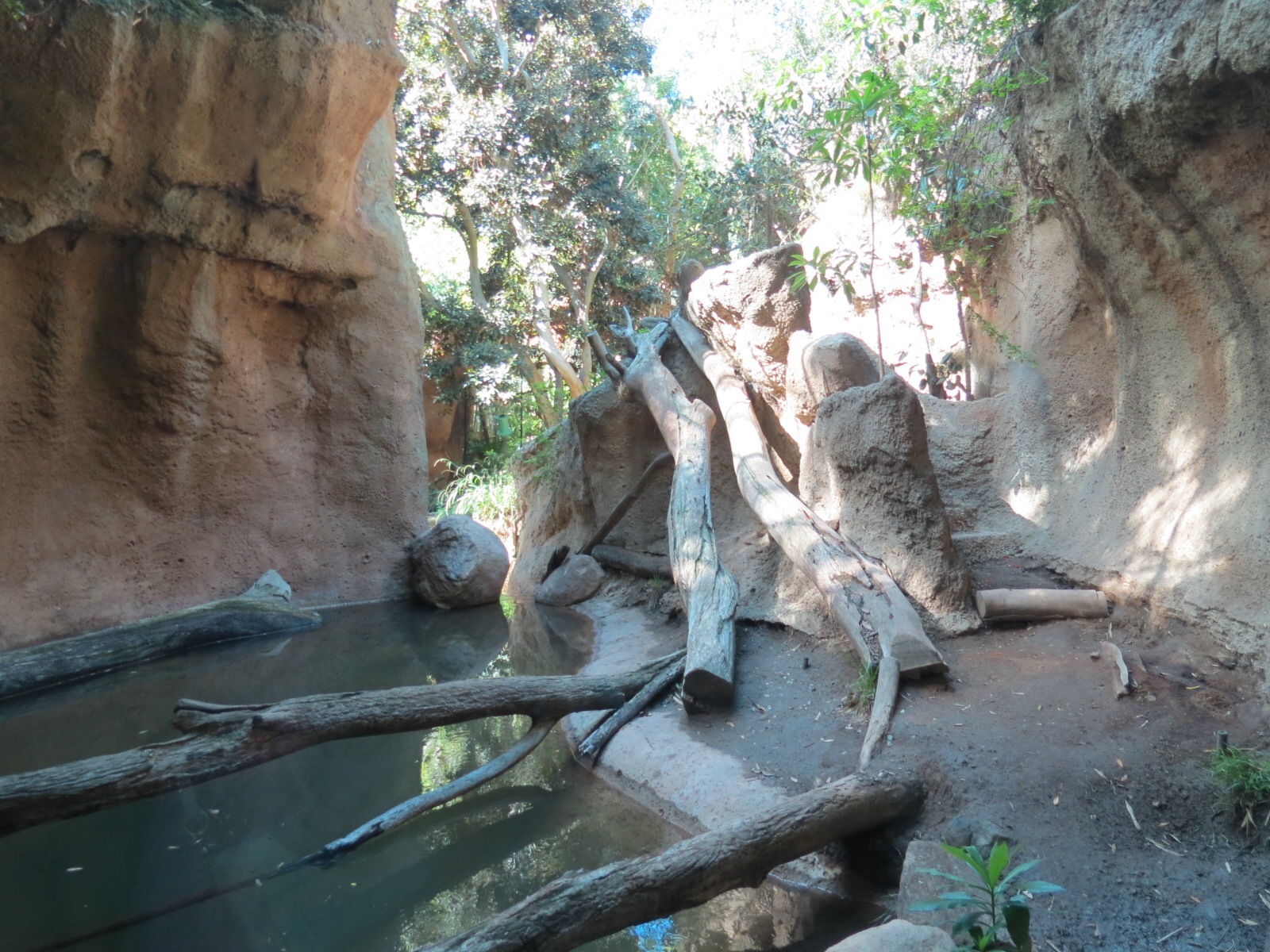 Lost Forest - Tiger River - Malayan Tiger Exhibit