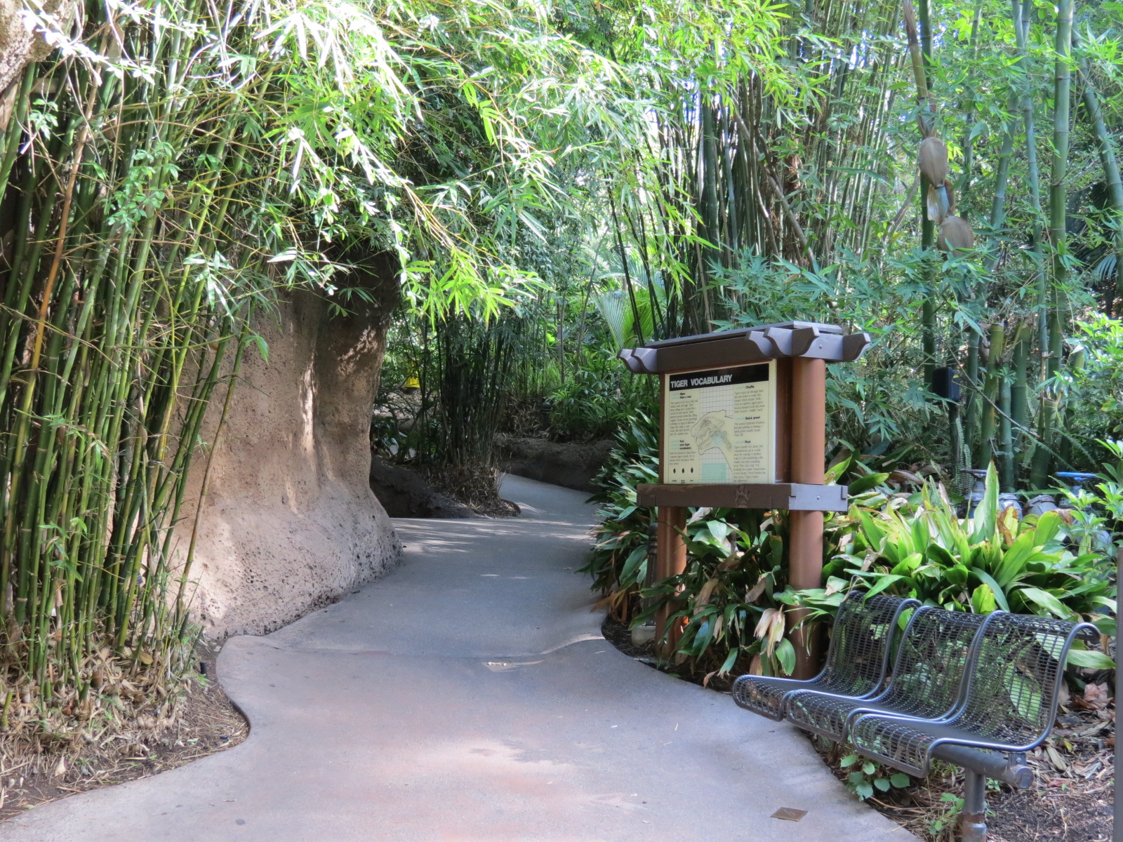 Lost Forest - Tiger River - Malayan Tiger Exhibit