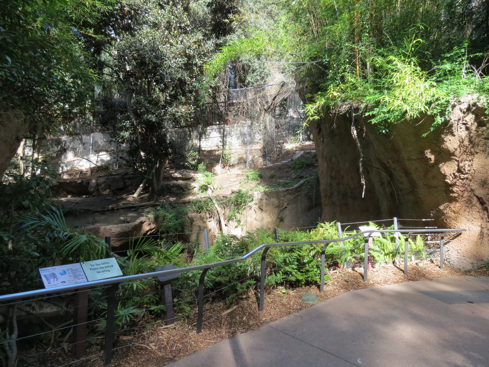 Lost Forest - Tiger River - Malayan Tiger Exhibit