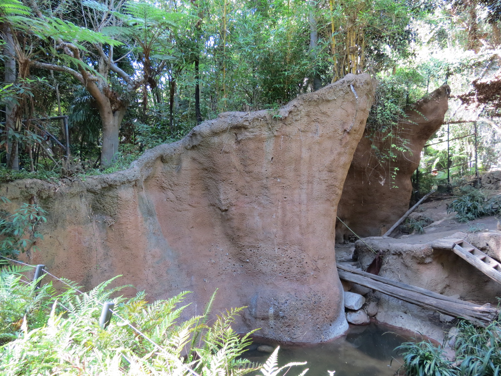 Lost Forest - Tiger River - Malayan Tiger Exhibit