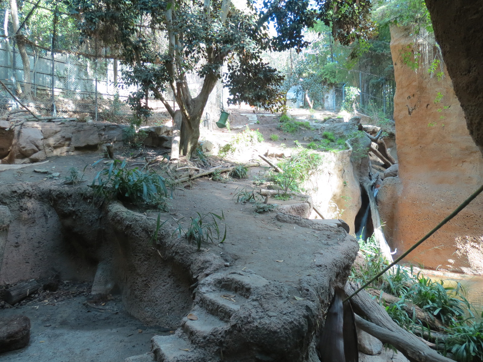 Lost Forest - Tiger River - Malayan Tiger Exhibit