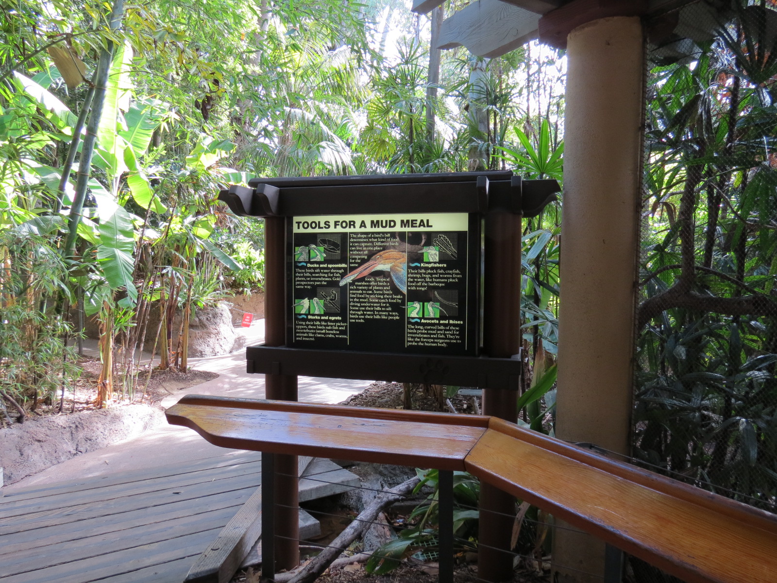 Lost Forest - Tiger River - Marsh Aviary