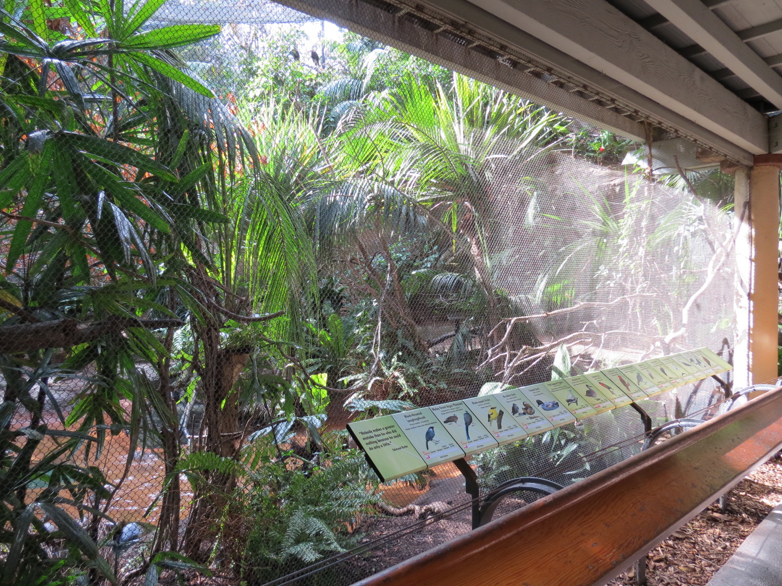 Lost Forest - Tiger River - Marsh Aviary