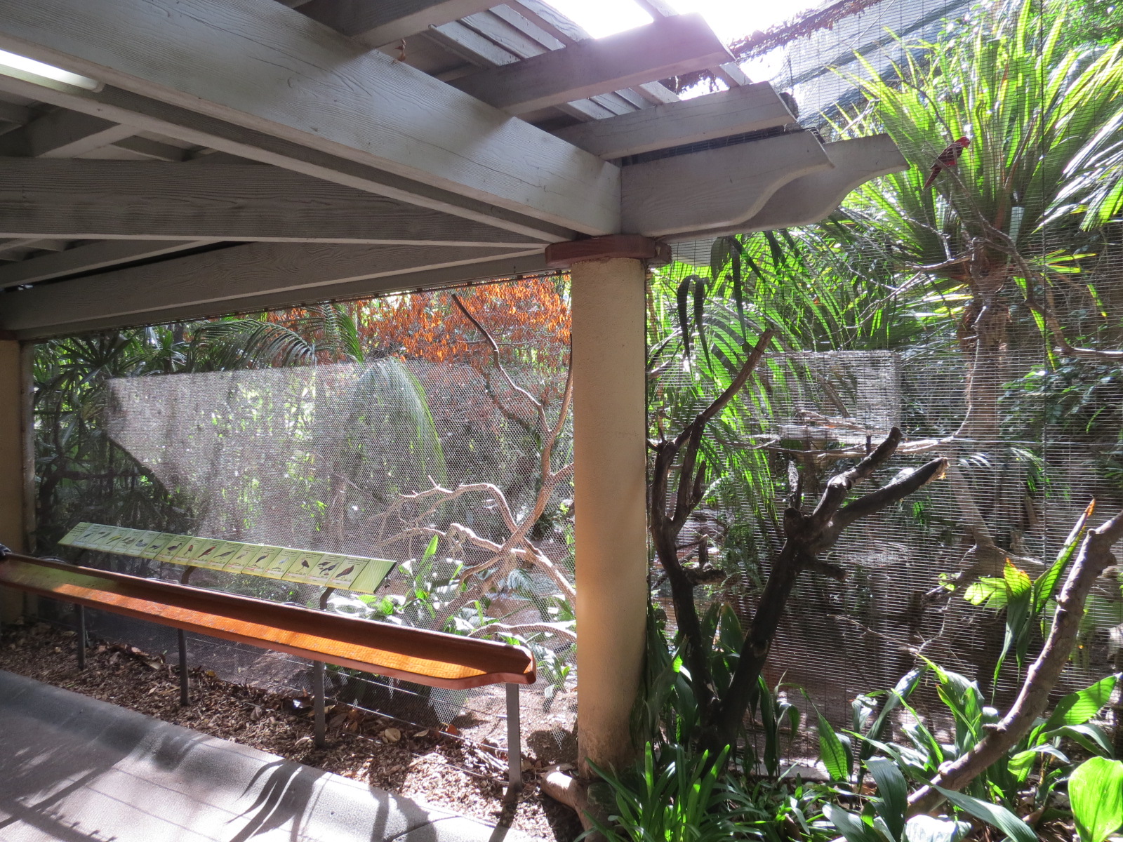 Lost Forest - Tiger River - Marsh Aviary