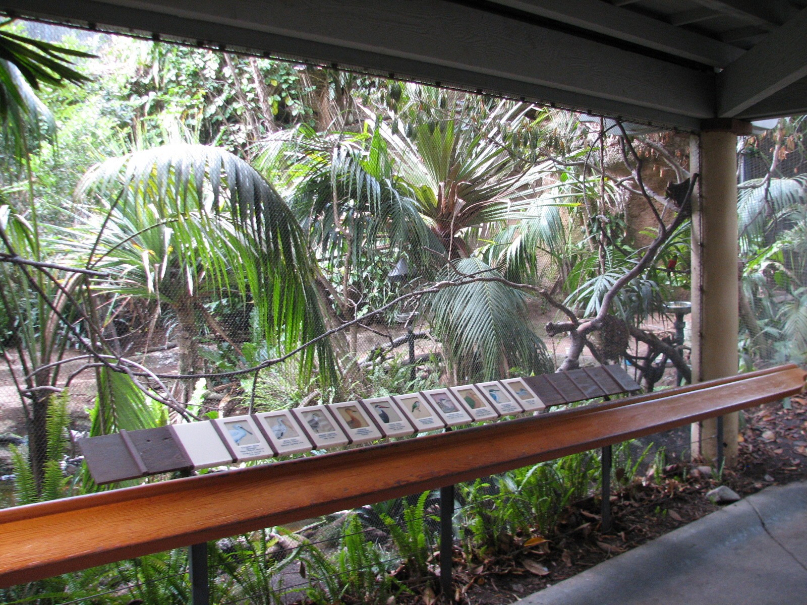Lost Forest - Tiger River - Marsh Aviary
