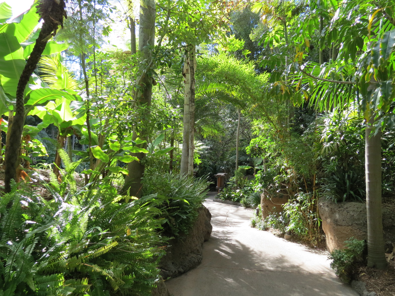 Lost Forest - Tiger River - Path