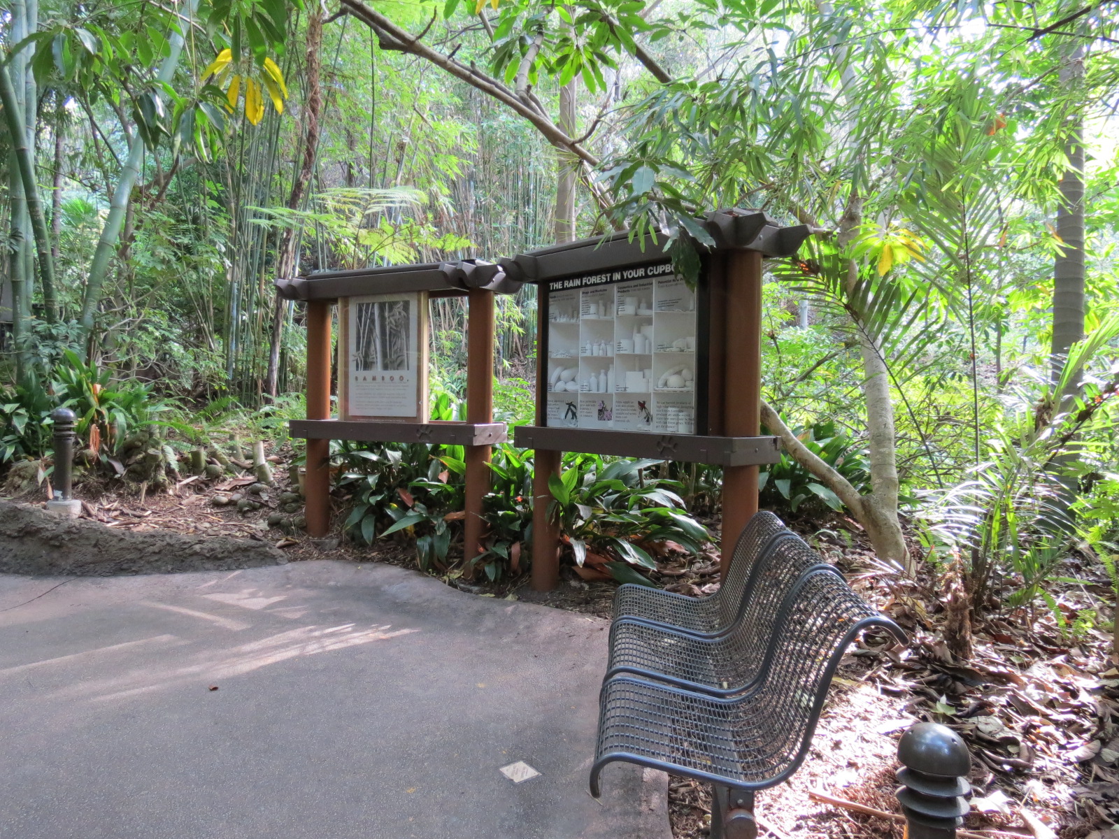 Lost Forest - Tiger River - Path