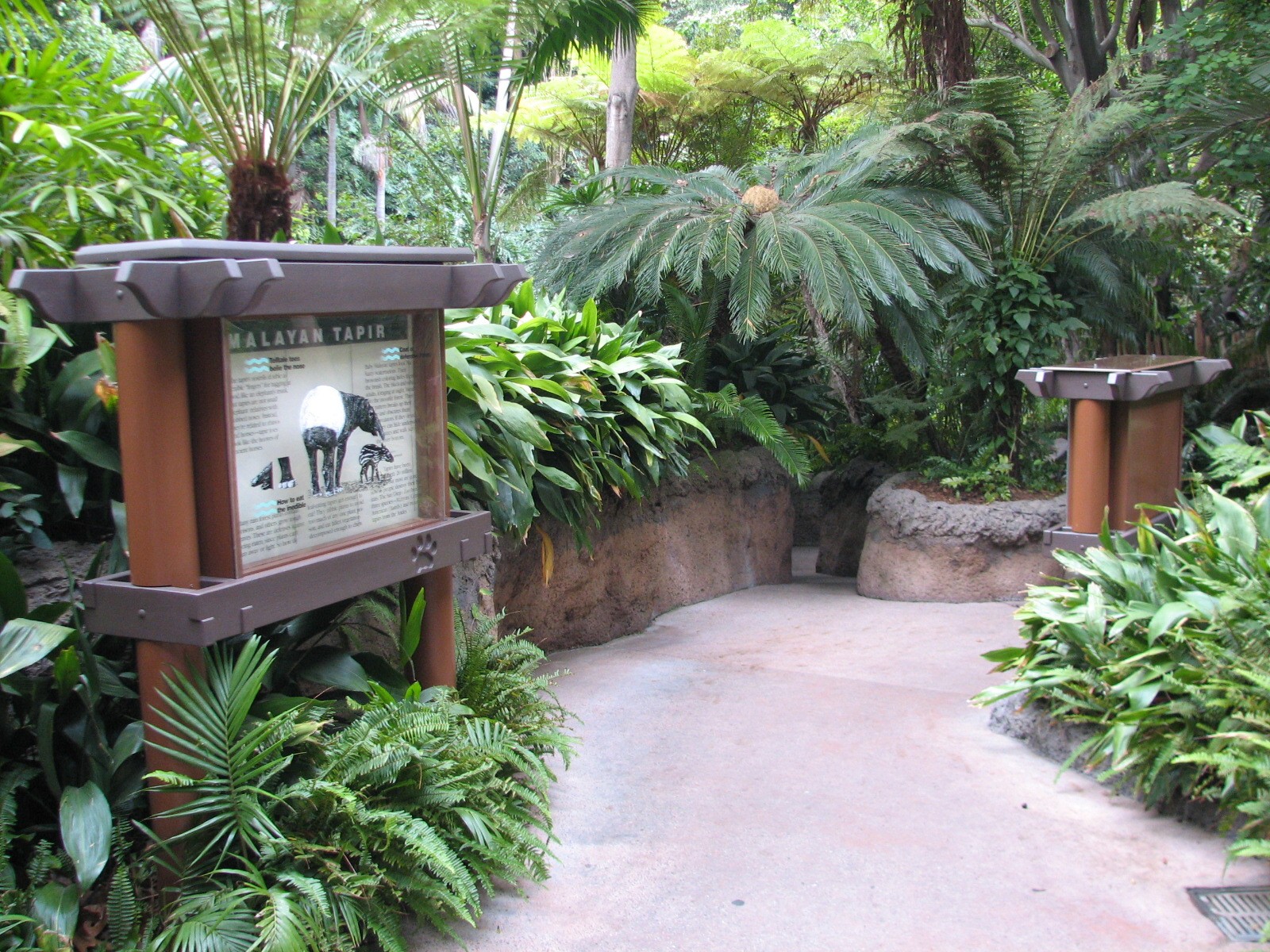 Lost Forest - Tiger River - Path