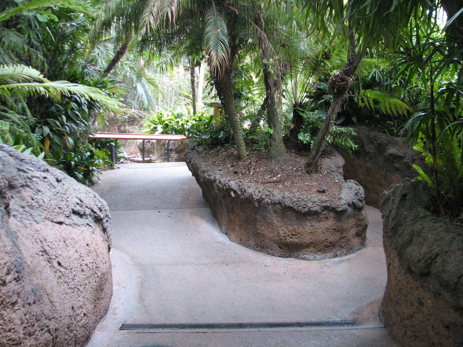 Lost Forest - Tiger River - Path