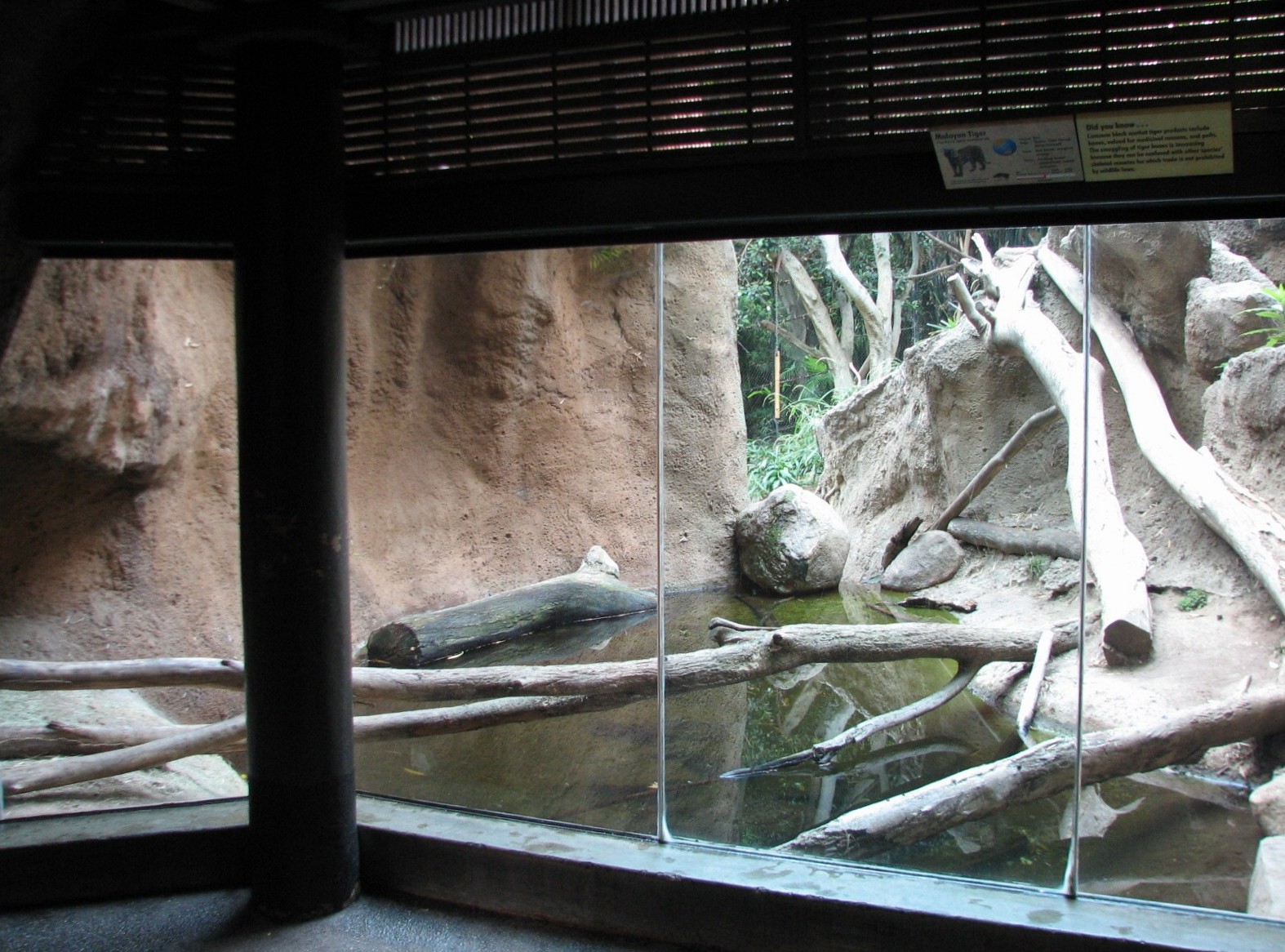 Lost Forest - Tiger River - Tiger Viewing Area