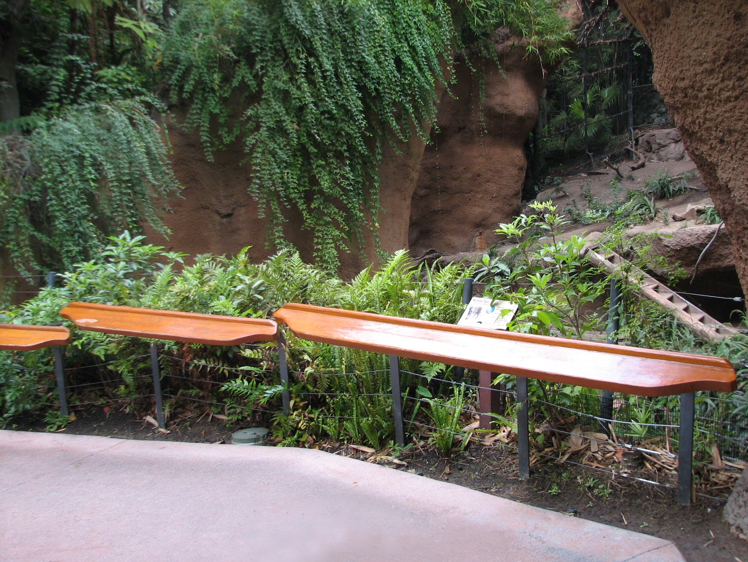 Lost Forest - Tiger River - Tiger Viewing Area