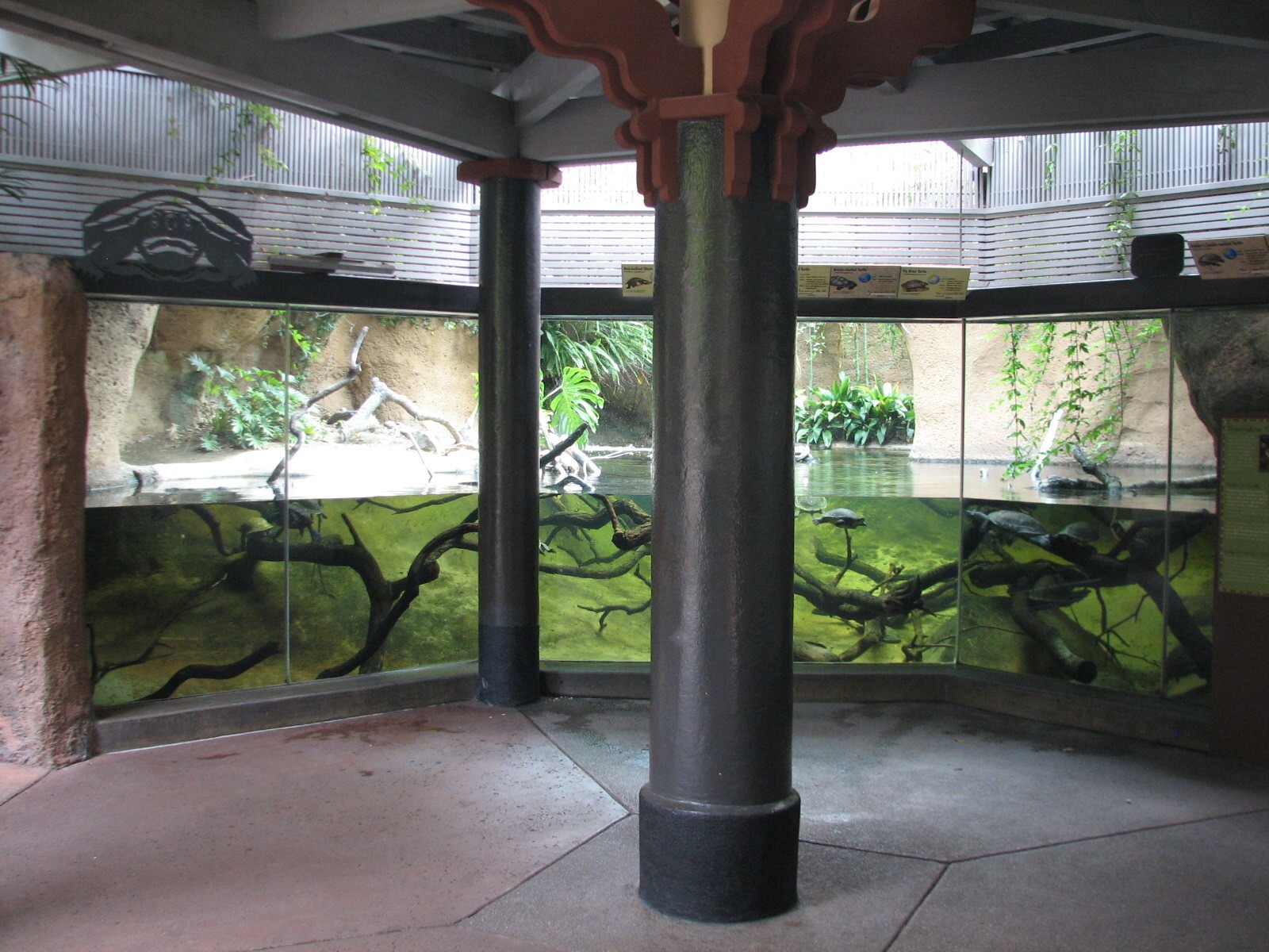 Lost Forest - Tiger River - Turtle Exhibit