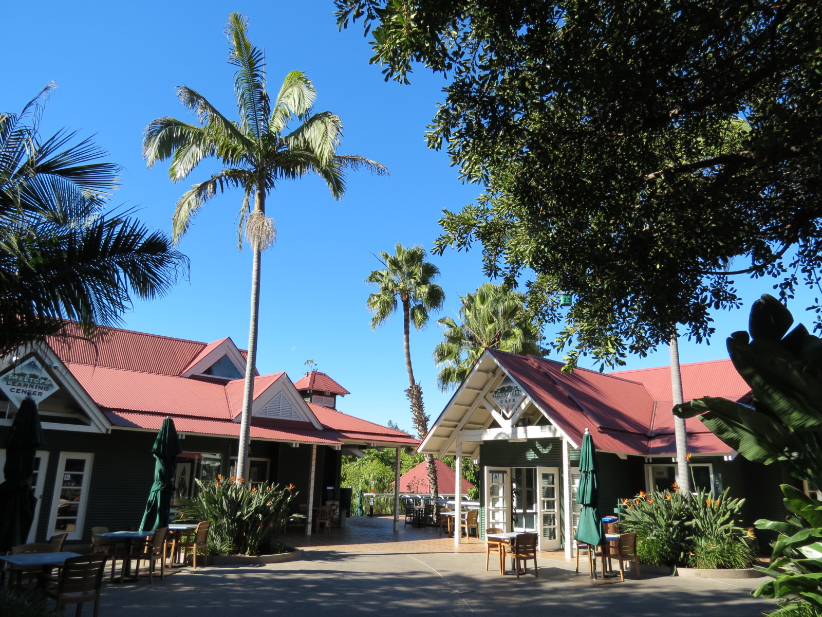 Lost Forest - Treetops Complex