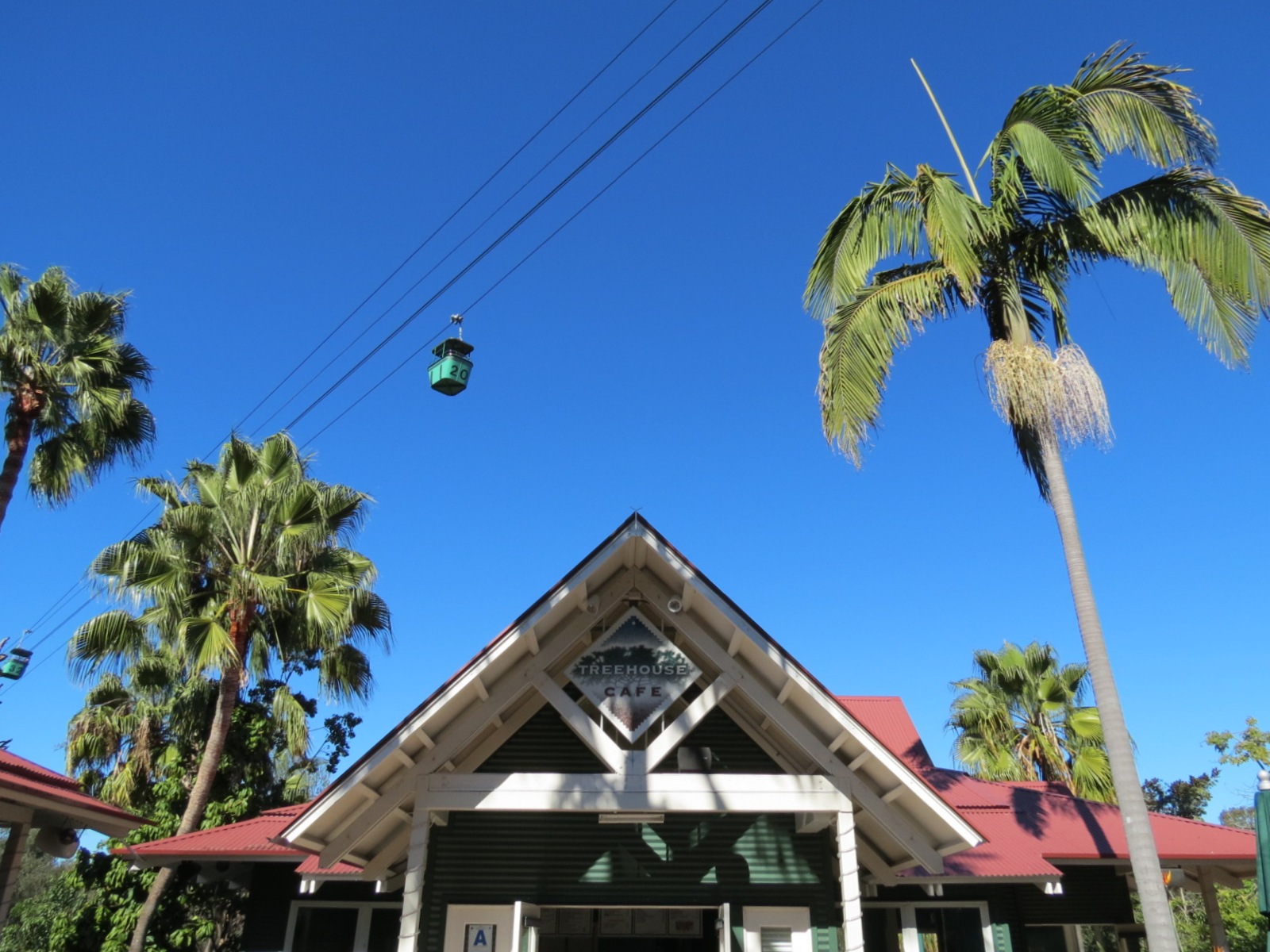 Lost Forest - Treetops Complex