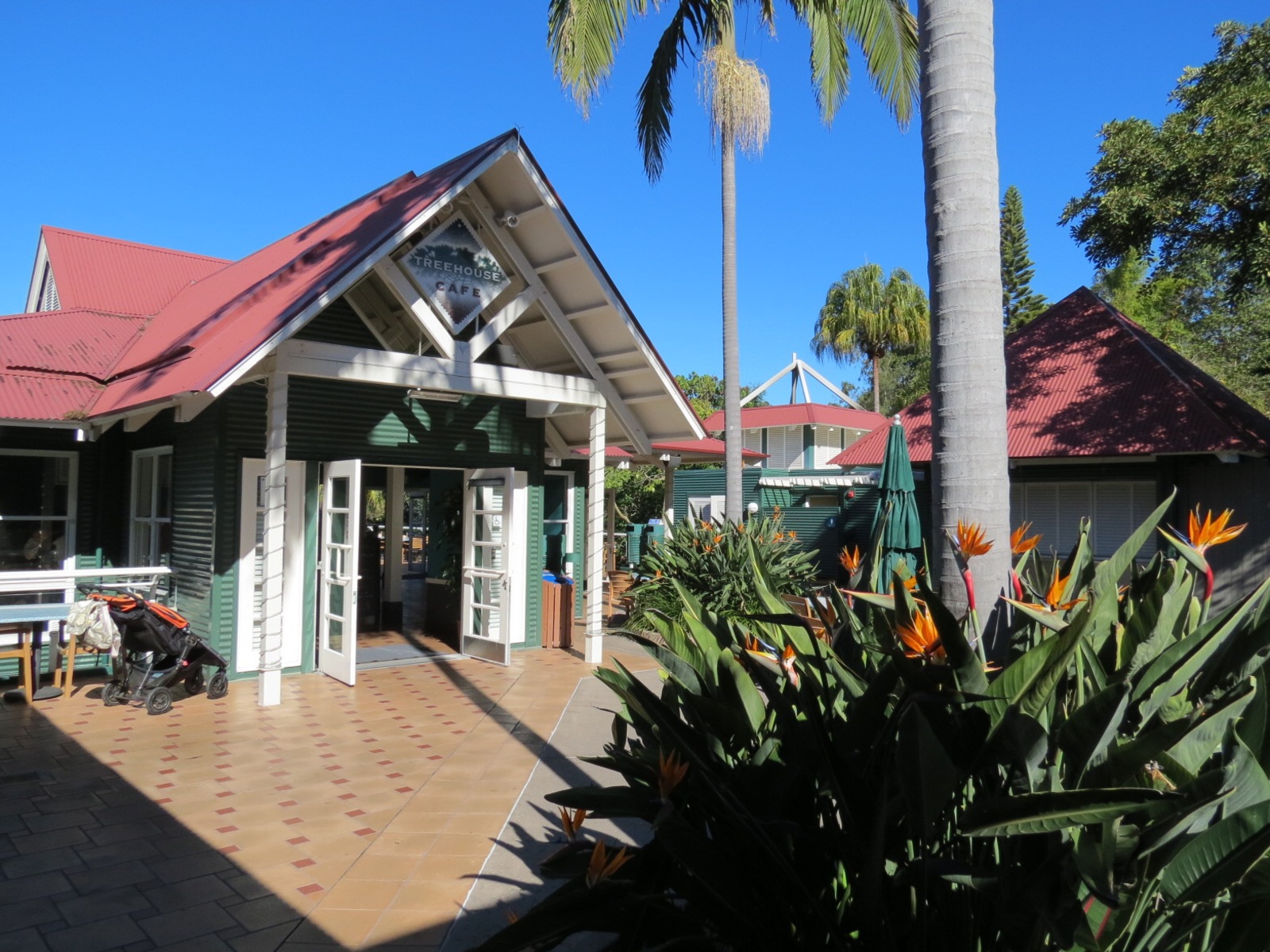 Lost Forest - Treetops Complex