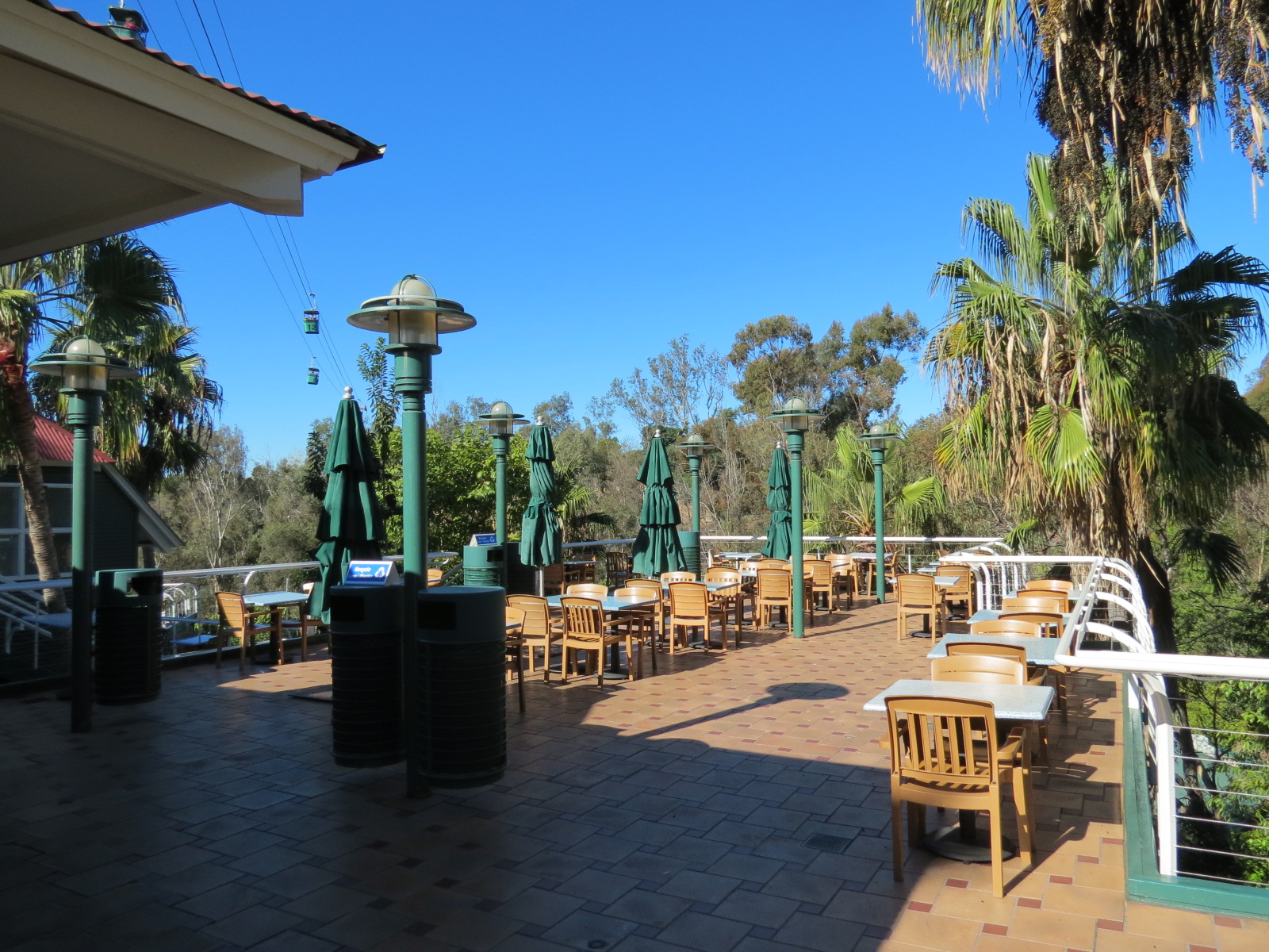 Lost Forest - Treetops Complex