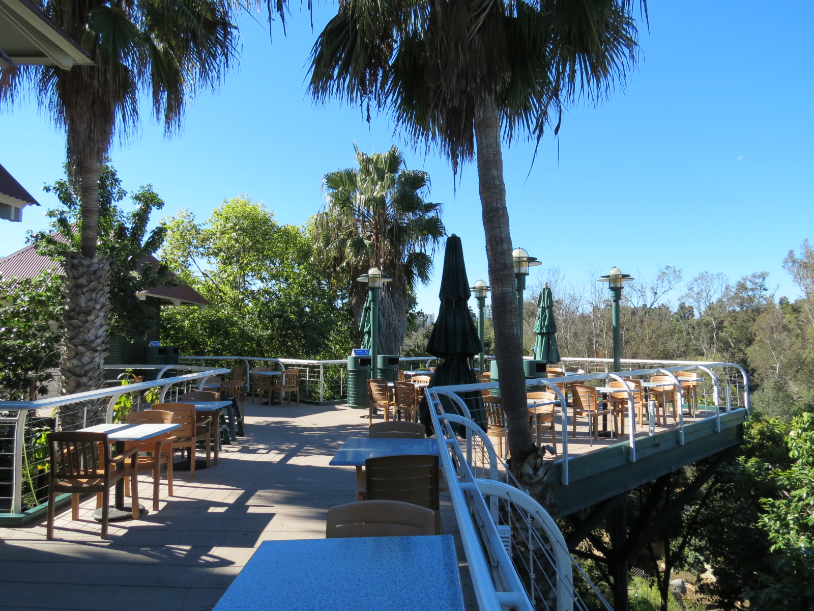 Lost Forest - Treetops Complex