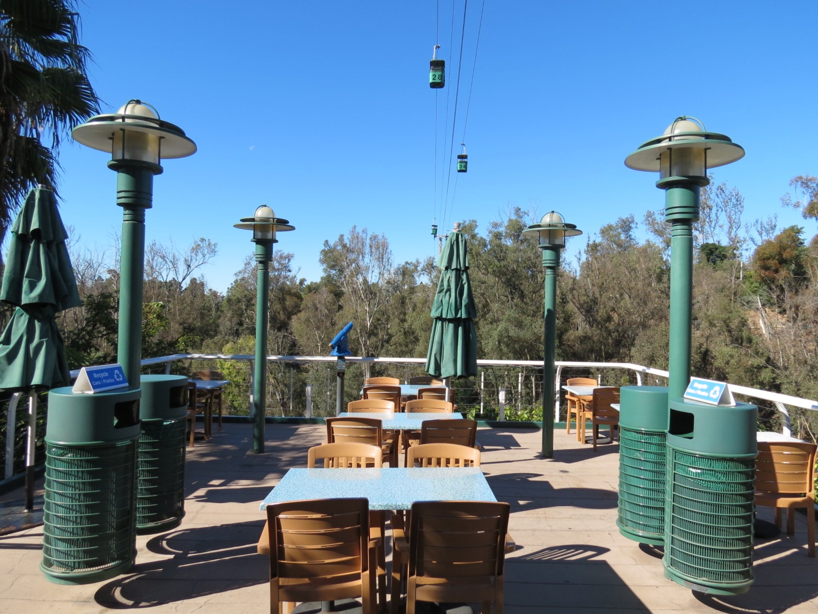 Lost Forest - Treetops Complex