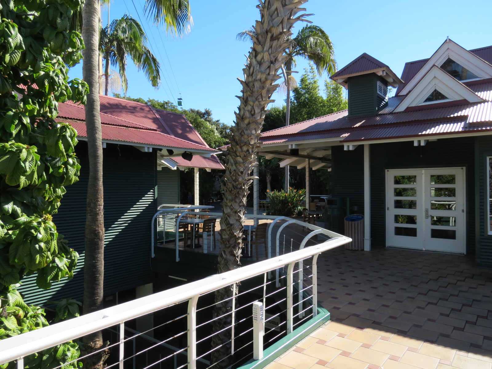 Lost Forest - Treetops Complex