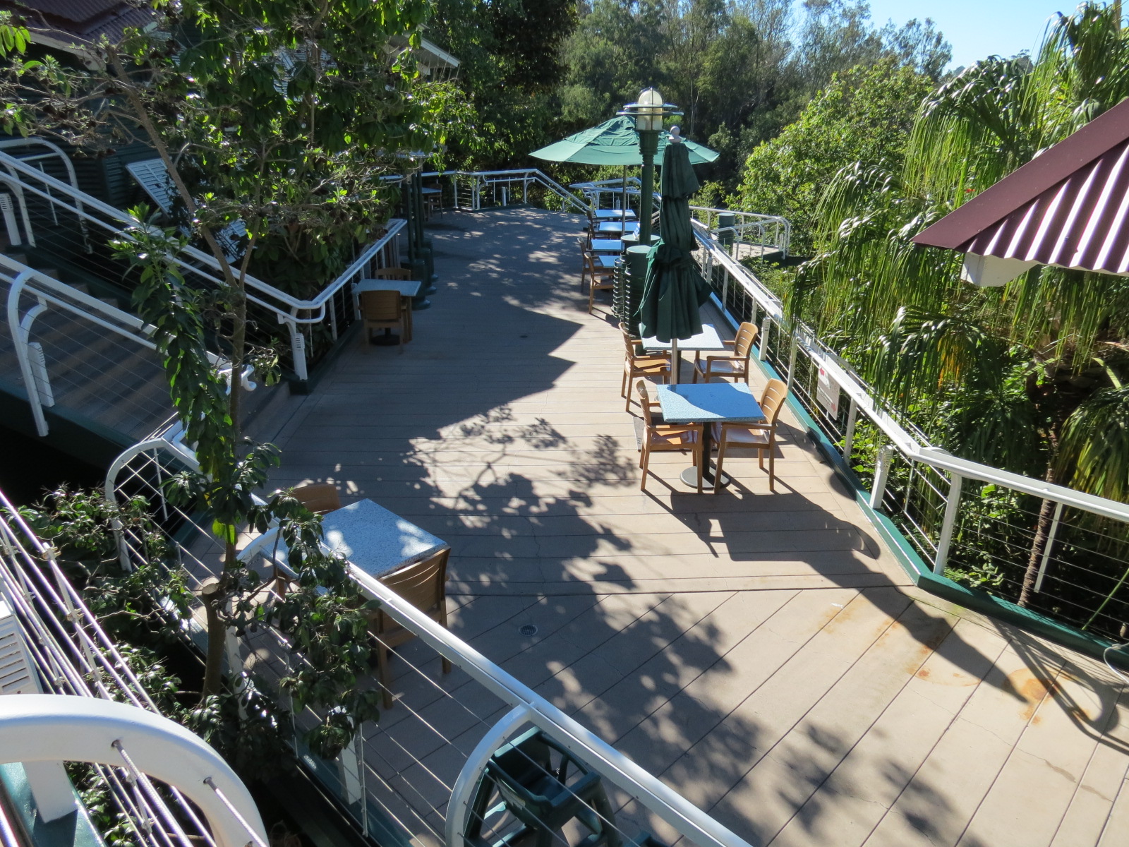 Lost Forest - Treetops Complex