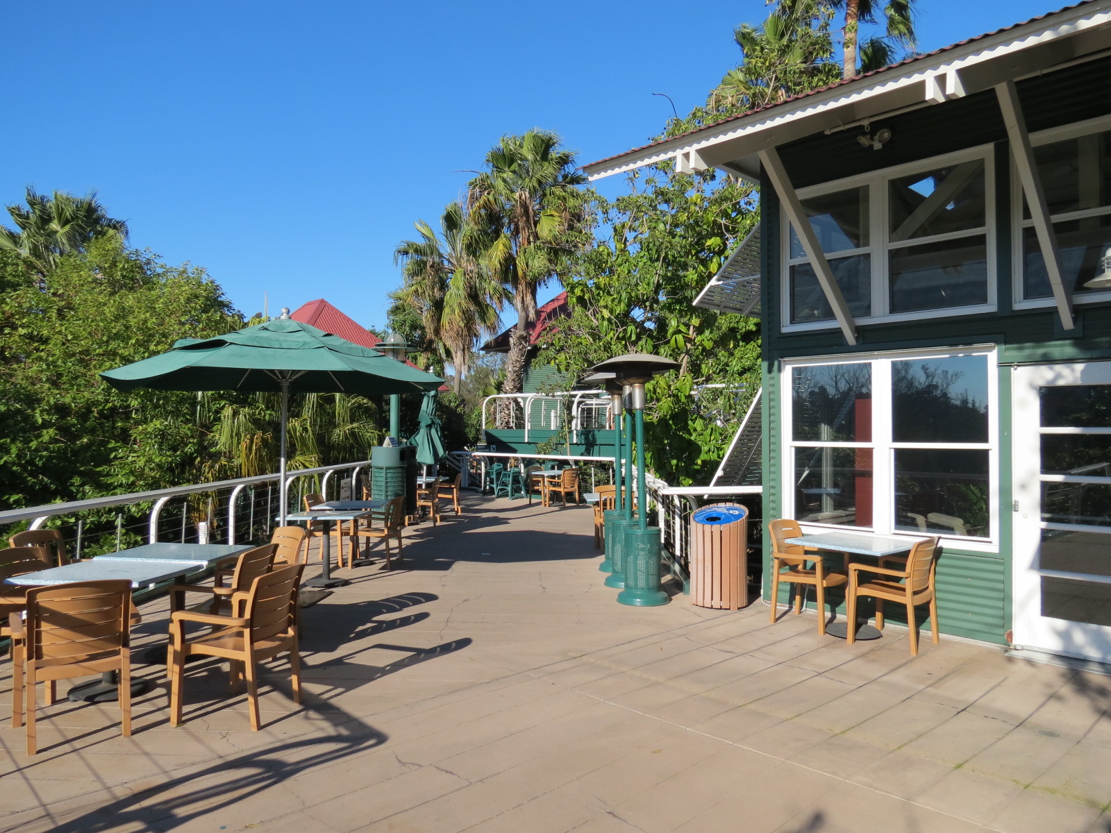 Lost Forest - Treetops Complex