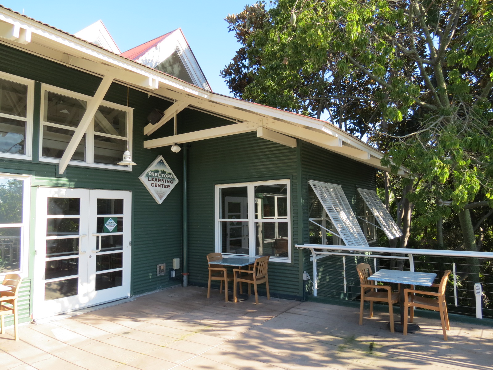 Lost Forest - Treetops Complex