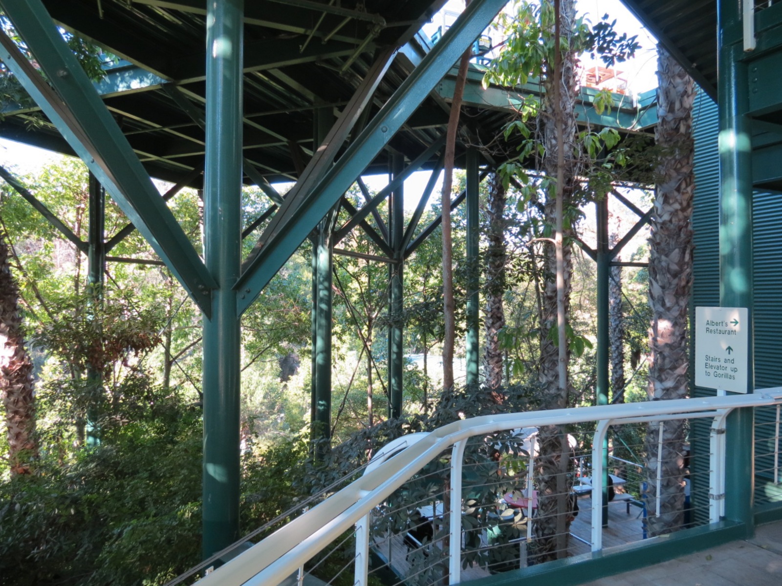 Lost Forest - Treetops Complex