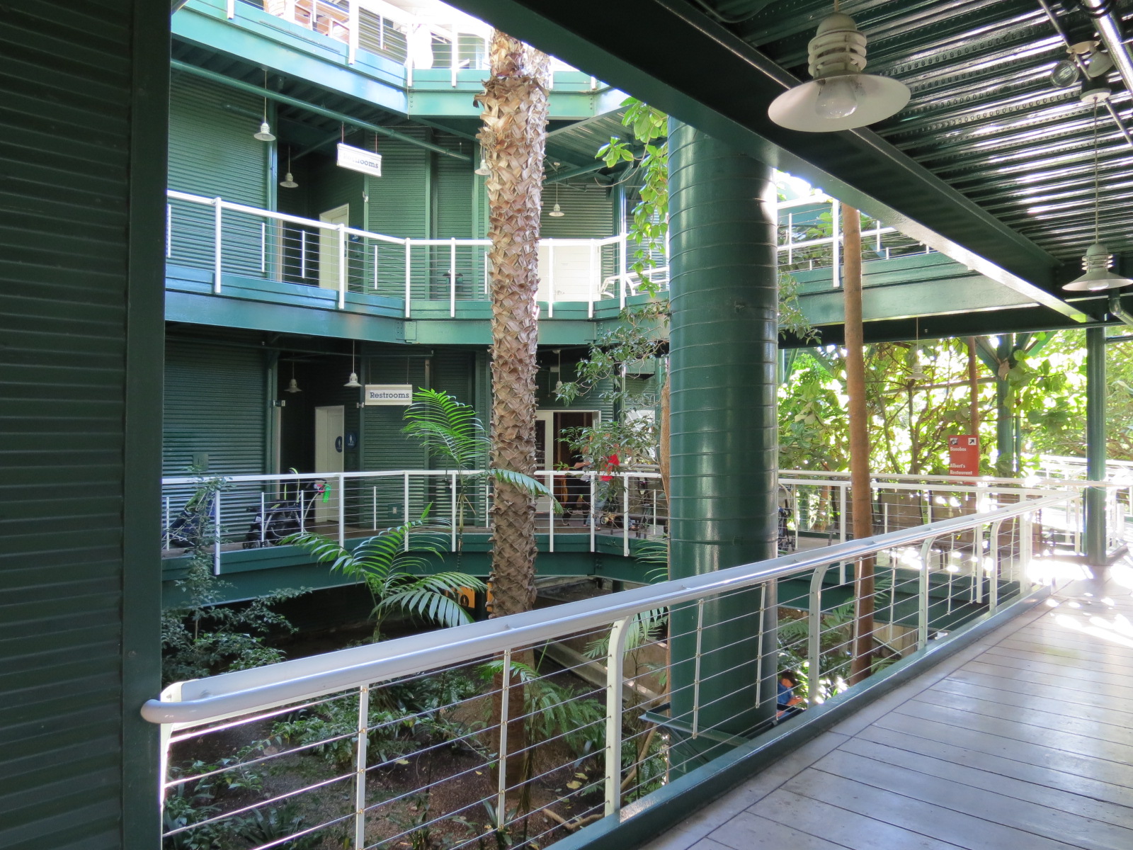 Lost Forest - Treetops Complex