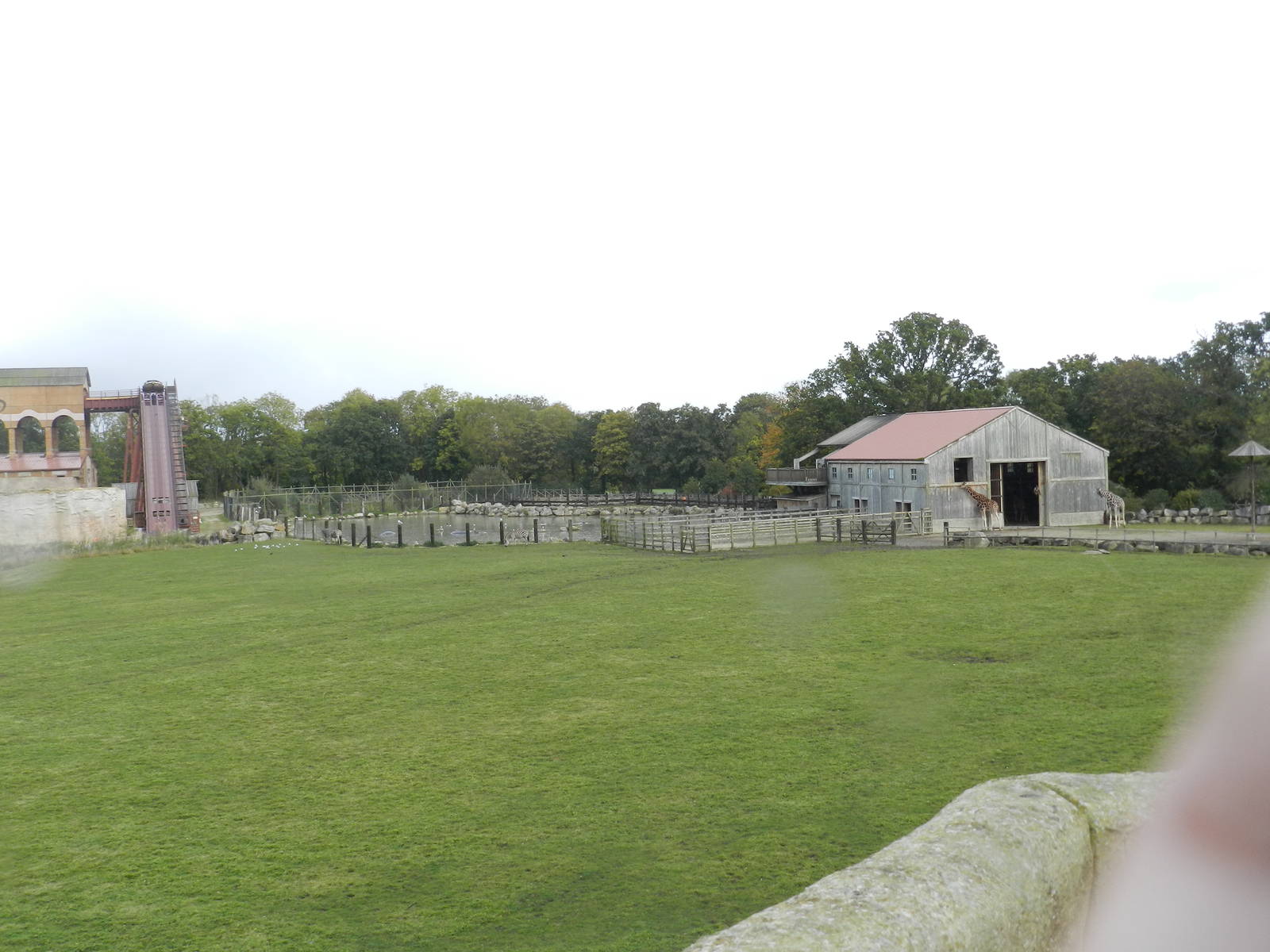 Lost Kingdom at Flamingo Land - 14/10/2012