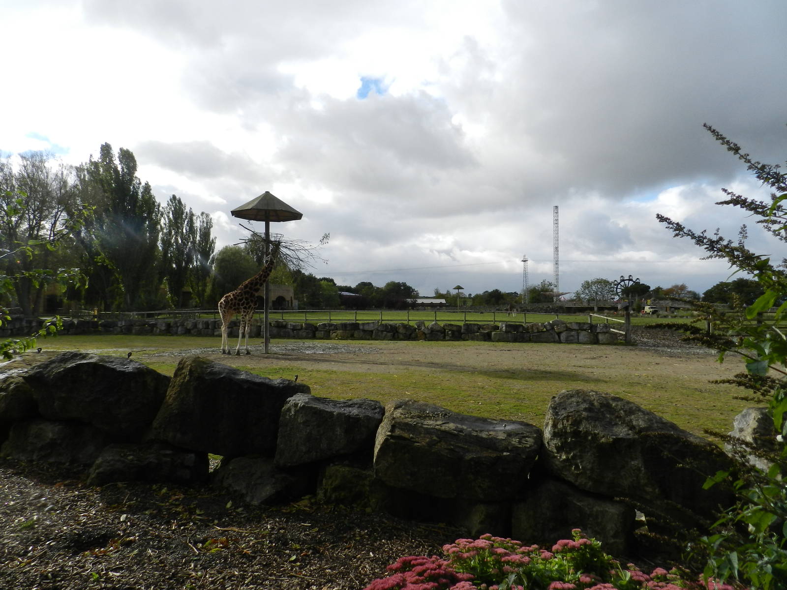 Lost Kingdom at Flamingo Land - 14/10/2012