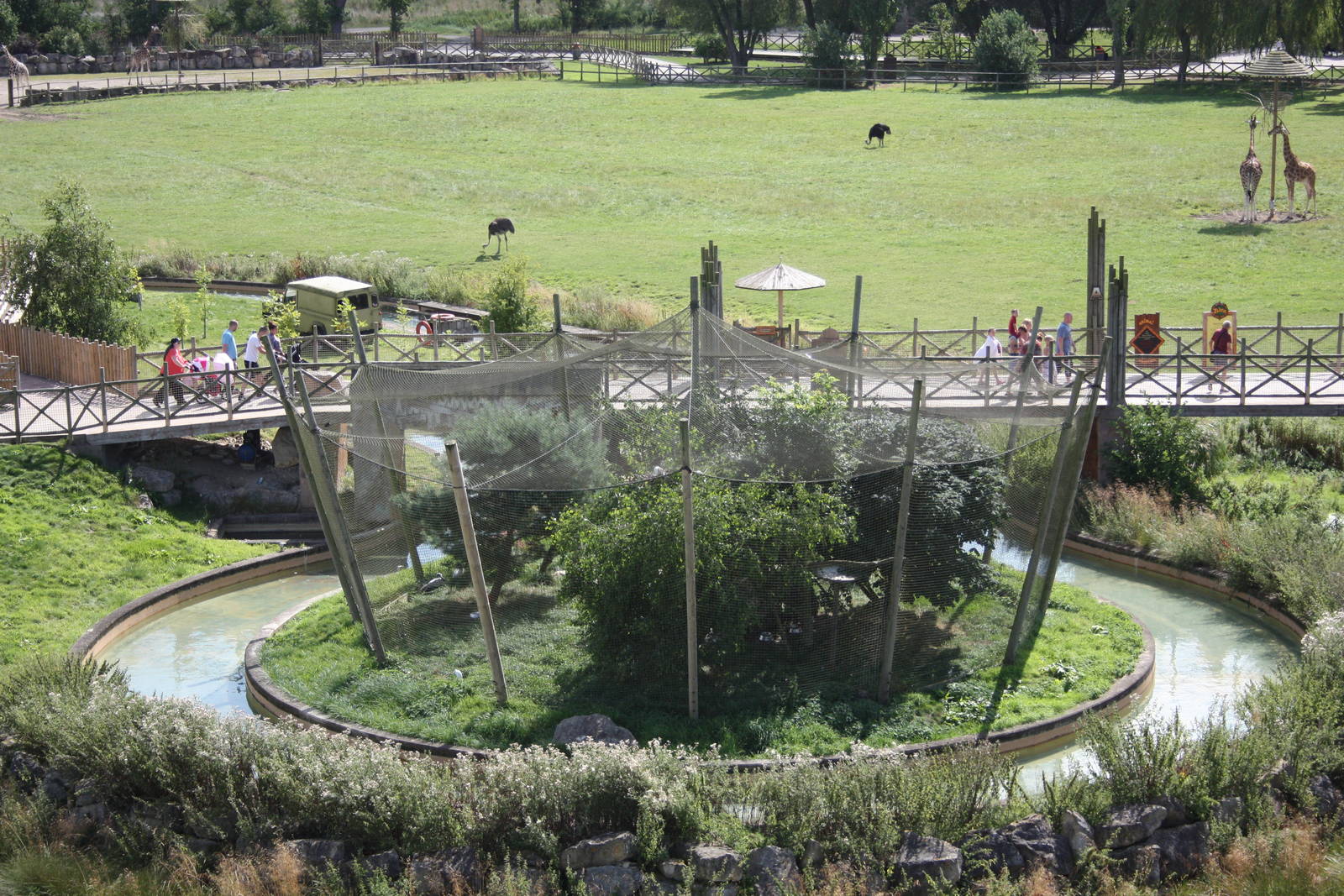 Lost Kingdom Aviary, 4th August 2014