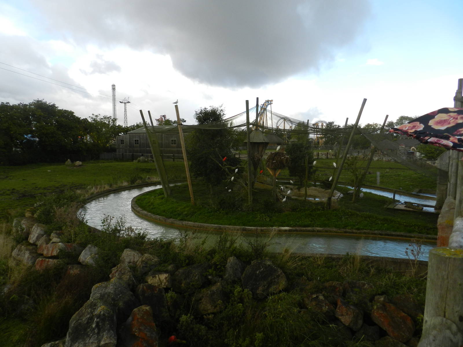 Lost Kingdom Aviary at Flamingo Land - 14/10/2012