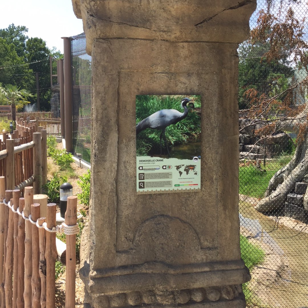 Lost Kingdom - Aviary, demoiselle cranes