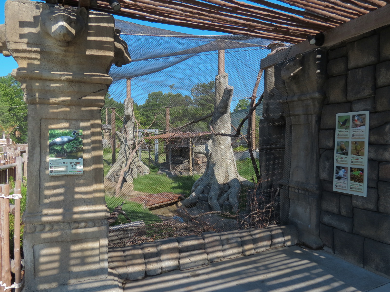 Lost Kingdom - Aviary Exhibit