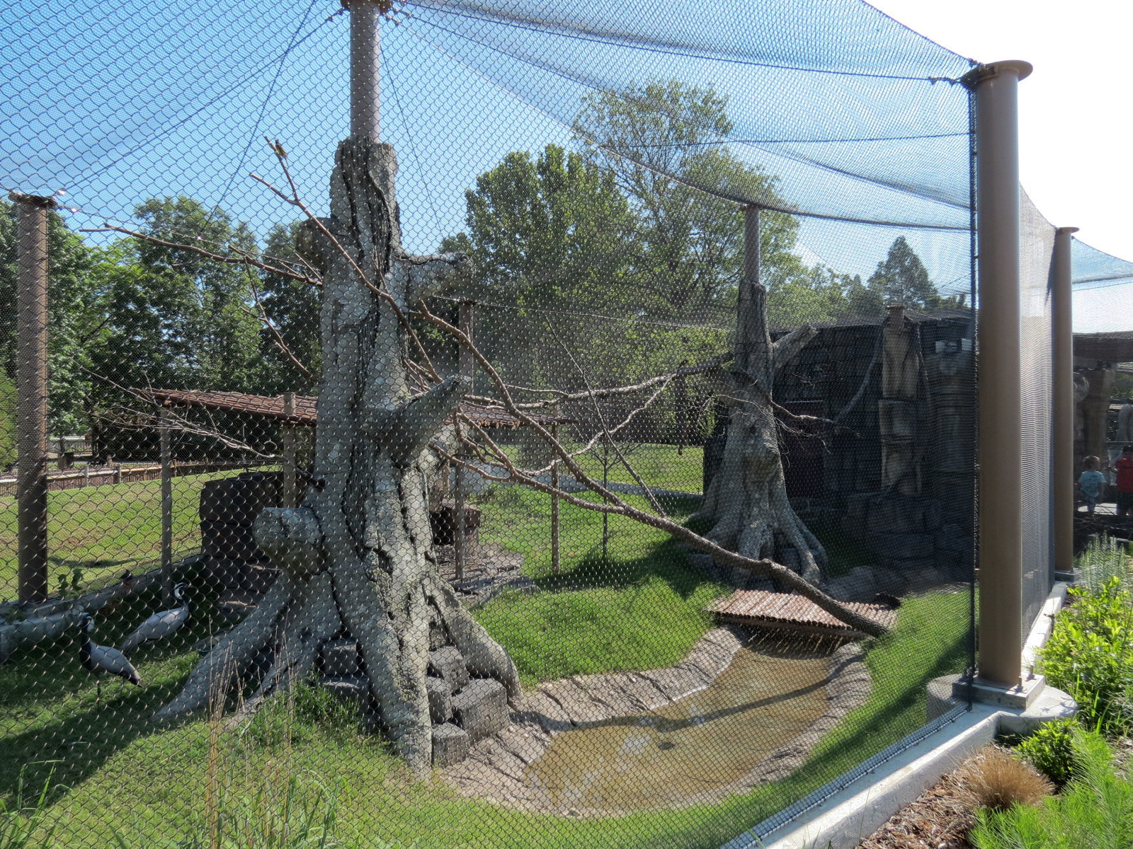 Lost Kingdom - Aviary Exhibit