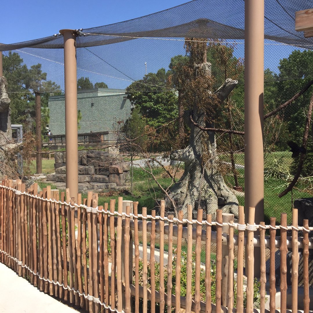 Lost Kingdom - Aviary