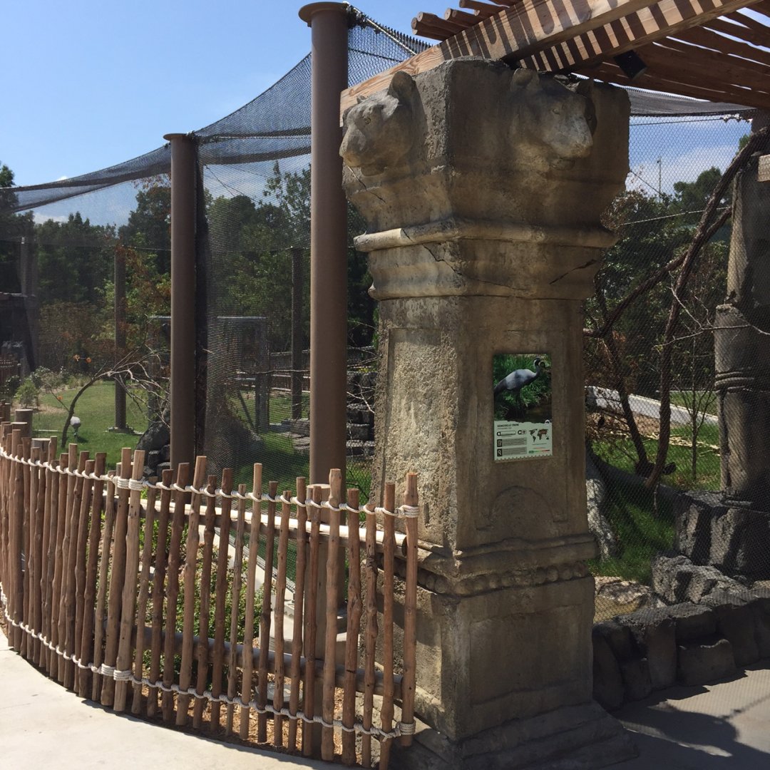 Lost Kingdom - Aviary