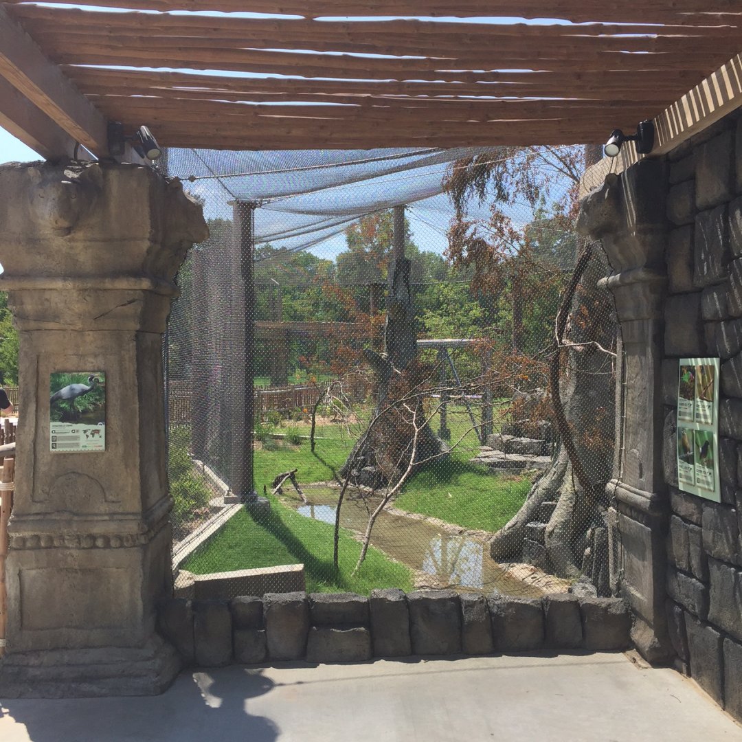 Lost Kingdom - Aviary