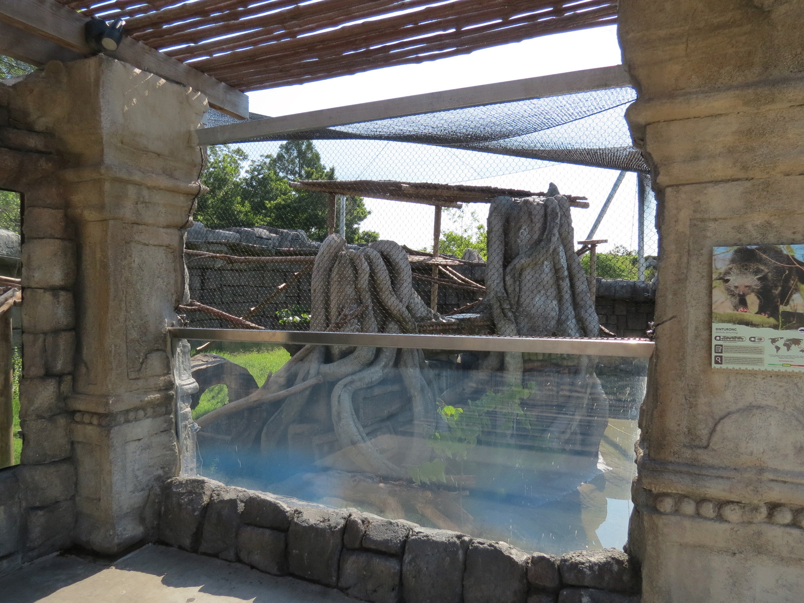 Lost Kingdom - Binturong Exhibit (Summer) or Red Panda Exhibit (Winter)